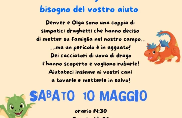 Locandina grafica dell'evento Caccia alle uova di Drago presso l'asilo diurno per cani a Bergamo Madilla.