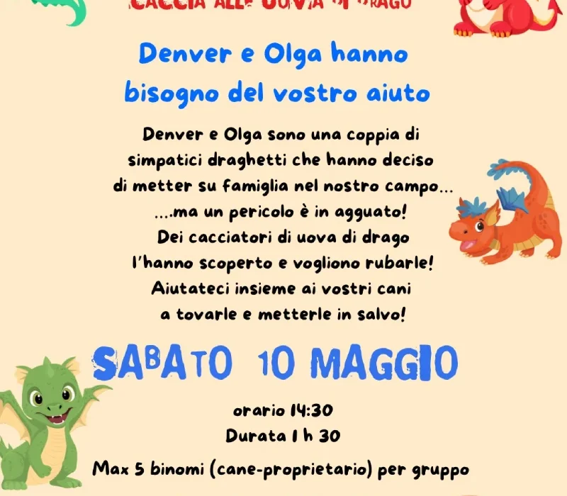 Locandina grafica dell'evento Caccia alle uova di Drago presso l'asilo diurno per cani a Bergamo Madilla.