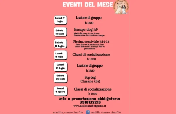 La grafica con gli eventi in programma al Asilo diurno per cani madilla