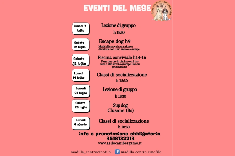 La grafica con gli eventi in programma al Asilo diurno per cani madilla