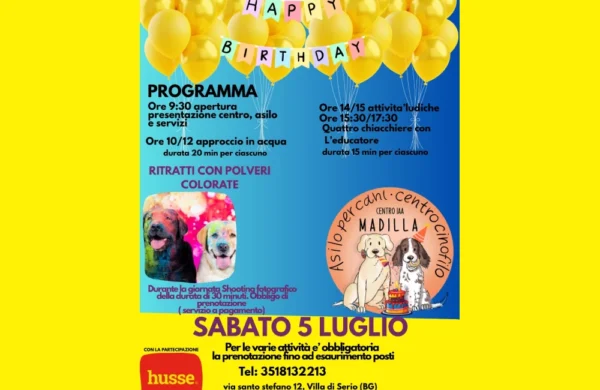 La locandina su sfondo giallo per il compleanno dell asilo per cani Madilla di Bergamo.