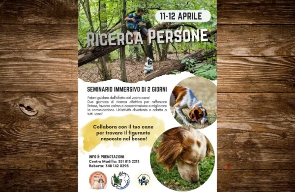La locandina dell'evento Stage Ricerca Persone con i cani.