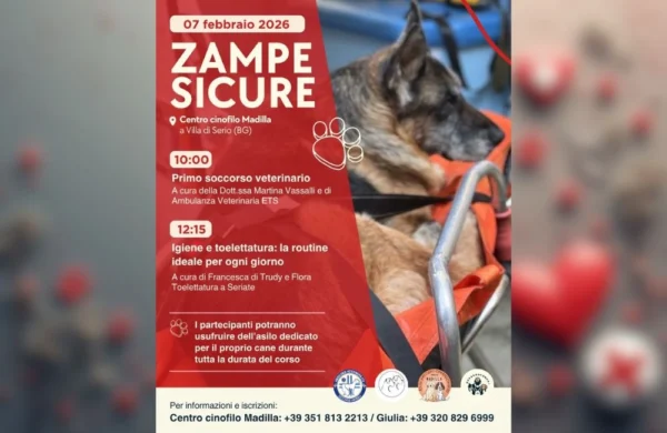 La locandina dell'evento Corso di Primo Soccorso Veterinario: Impara a Proteggere il Tuo Cane in Ogni Situazione.
