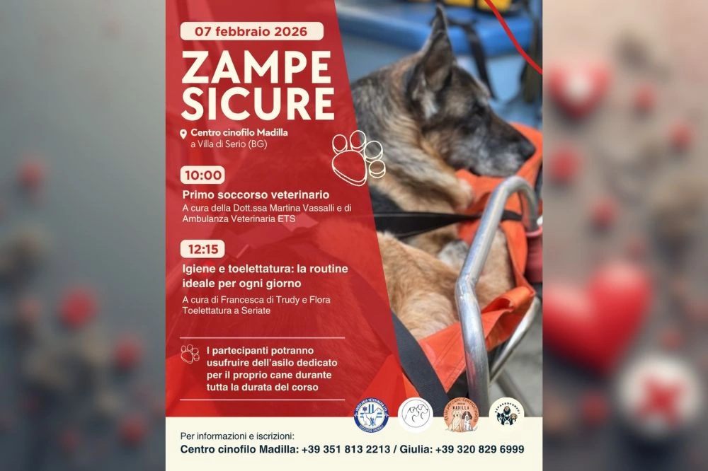 La locandina dell'evento Corso di Primo Soccorso Veterinario: Impara a Proteggere il Tuo Cane in Ogni Situazione.