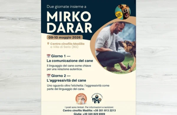 Locandina evento Mirko Darar a Bergamo.
