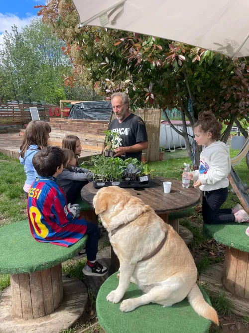 Un gruppo di bambini del CRE estivo partecipano ad un momento di lezione di natura.