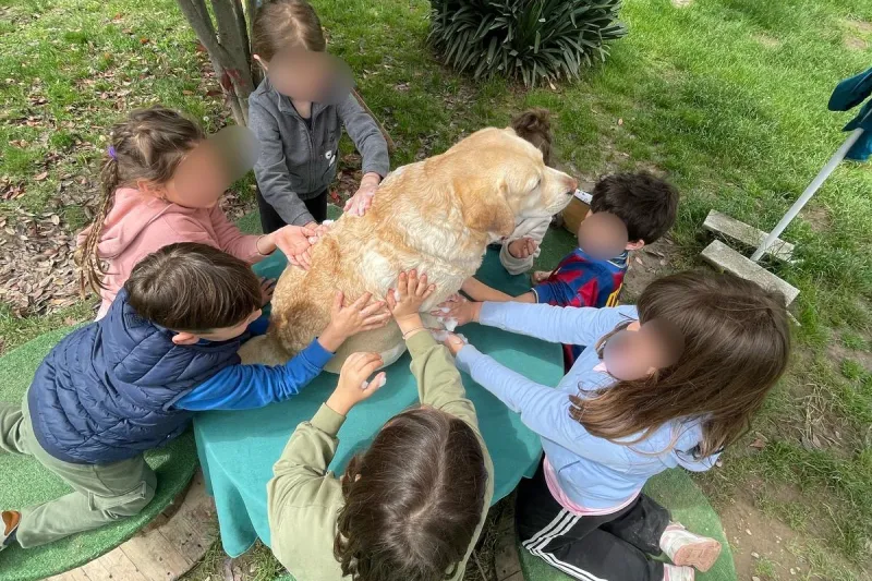 Un gruppo di bambini del CRE estivo partecipano ad un momento di pet therapy.