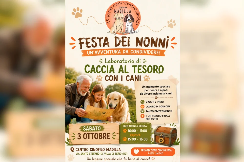 Locandina promozionale dell'evento Festa dei Nonni al Centro Cinofilo Madilla a Bergamo: foto di un nonno sorridente con la nipote e un cane Golden Retriever che guardano una mappa del tesoro. Titolo: "FESTA DEI NONNI: Un'avventura da condividere! Laboratorio di Caccia al Tesoro con i Cani". Include dettagli su data (3 ottobre), orari e location a Villa di Serio (BG). Include keywords strategiche Festa dei Nonni e Cani.