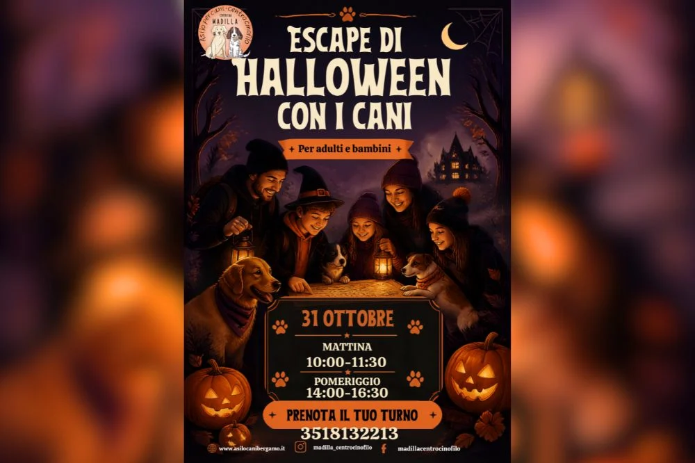 La locandina dell'evento di Bergamo Halloween con i cani.